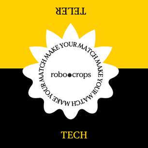 MAKE YOUR MATCH Linked In bericht