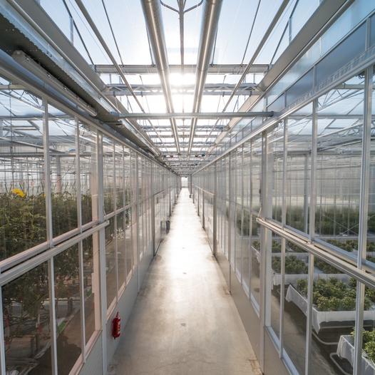 Onderzoekskas innovatie