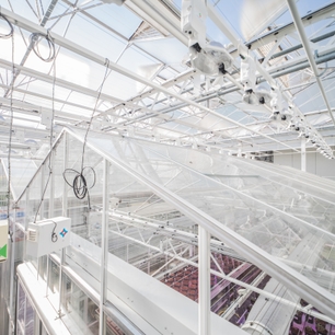 Optie strategie tech