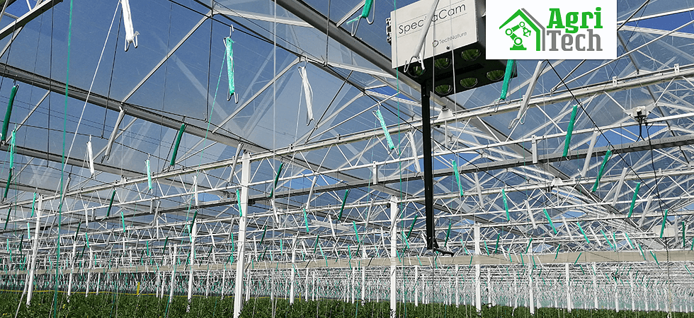 Succescase Groeikracht in tomaat waarnemen 2