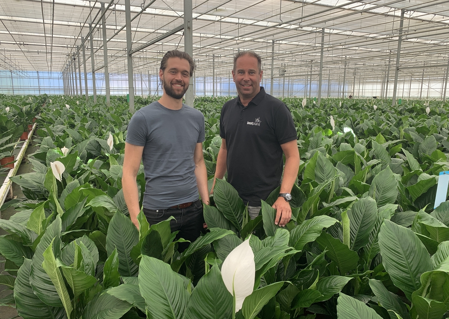 Succescase Laat de robot de zware potplanten tillen