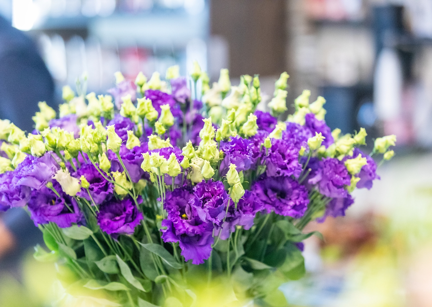 Succescase Zaad en plantkwaliteit beoordelen met AI