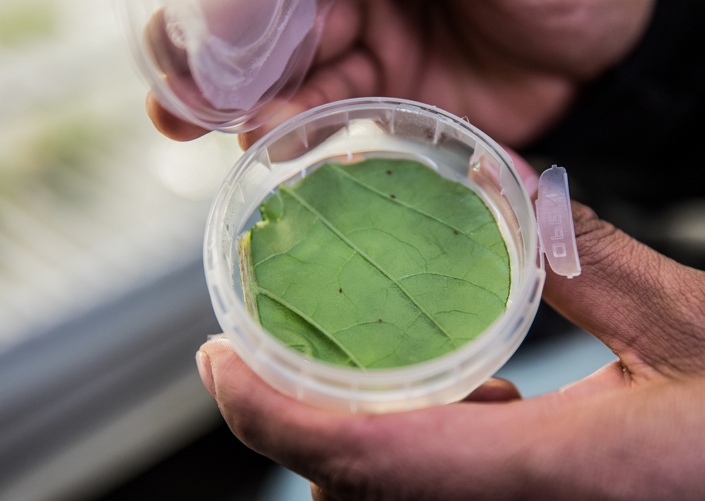 220304 World Horti Center 20 1 1